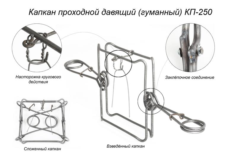 Как подписать открытку ко дню рождения? 65 Как подписать открытку ко дню рождения? 4