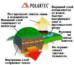   Polartec 