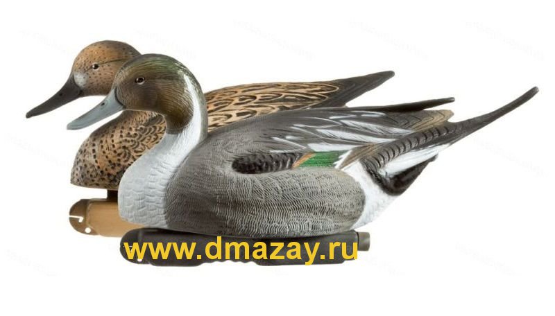      fa brand decoys   Gunners HD Pintal Duck Floating Decoys 474340